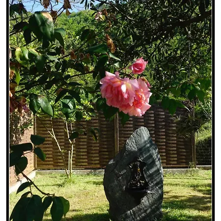 Tranquilidad Y Naturaleza ,reformada En 2020 Casa vacanze