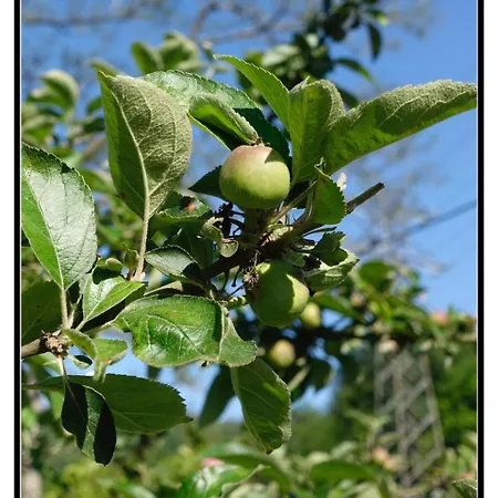 Casa vacanze Tranquilidad Y Naturaleza ,reformada En 2020